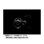 爆買 ダイワ 19 STEEZ(スティーズ) CT SV TW 700XHL(左)