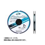【メール便対応】ダイワラインエメラルダスリーダー(2号)