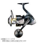  Shimano 25 Stella SW 10000PG