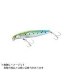 シマノエクスセンスシャローアサシン99FフラッシュブーストXM-199S＃010Fスケイワシ