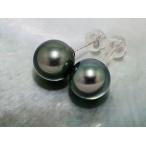 黒蝶真珠 黒真珠 ピアス 10mm ダークグリーン