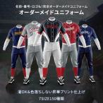 ショッピングユニフォーム ＜受注生産＞カスタムオーダー昇華野球ユニフォーム カスタムユニフォーム ビッグシルエット対応 シミュレーション オーダーユニフォーム チームオーダー