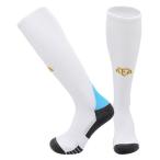 W71 アルゼンチン代表 2024-2026年ワー�