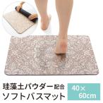 珪藻土入り ソフトバスマット 約40×60cm単品 1枚 / オーナメント ベージュ 花柄 おしゃれ 上品 抗菌 防臭 吸水 速乾