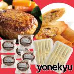 お歳暮    肉 丼 爆買 ハンバーグ ＆ 中華春巻き セット 福袋 温めるだけ  ご飯のお供 おかず 冷凍食品 中華