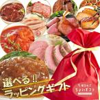 惣菜 ギフト お取り寄せ インターネット限定 ちょいギフト お肉惣菜 選べる セット カジュアルギフト 詰め合わせ おかず 人気 2023 ご飯のお供 肉 お肉