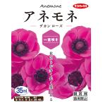 [ осень .. луковица ]( ветреница корончатая один -слойный ..)te can rose (30ml.)[sakata. tane]