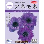 セントブリジッドブルー