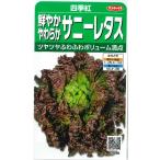 [ Sunny lettuce ] 4 сезон .(3.5ml)[sakata. tane][ весна ..][ осень ..](923686)