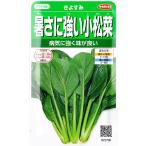 【暑さに強い小松菜】きよすみ【サカタ交配】（10ml）タネ　野菜種/コマツナ[春まき][秋まき]922700