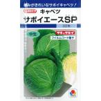 【キャベツ】サボイエースSP 【タキイ種苗】（160粒）野菜種[秋まき]DF