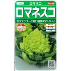 【ロマネコ】ロマネスコ【サカタのタネ】（25粒） 野菜種 922550