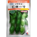 【ソラマメ】仁徳一寸【タキイ種苗】（35ml）野菜種[秋まき]