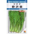 【ツケナ】野沢菜【タキイ種苗】（4.5ml）野菜種[秋まき]