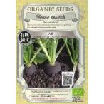 黒丸大根（ブラックスパニッシュラウンド）3.0g★オー