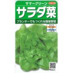 【サラダ菜・レタス】サマーグリーン【サカタのタネ】（5ml）野菜種[春まき][秋まき]