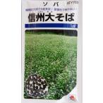 [soba. вид ] Shinshu большой соба (1dl)[takii вид рассада ][ осень ..]