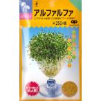 【スプラウト】アルファルファ【中原採種場】（25ml）野菜種[周年まき]