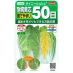 【ミニ白菜】タイニーシュシュ 耐病黄芯育てやすい極早生【サカタ交配】（2.2ml）ハクサイ野菜種/サカタのタネ(922624)