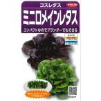[kos lettuce ] Mini ro основной lettuce [sakata. tane](40 шарик )[ весна ..][ осень ..] 923577