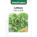 【バターレタス】【藤田種子】（玉ちしゃ）野菜種[春