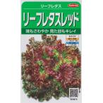 [ leaf lettuce ] leaf lettuce красный [sakata. tane](3.5ml)[ весна ..][ осень ..] 923672