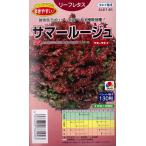 【リーフレタス】サマールージュ 【タキイ種苗】【ペ