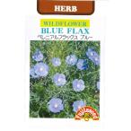 【ワイルドフラワー】ペレニアルフラックスブルー【宿根草】【藤田種子】（1ml）[春まき][秋まき]