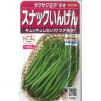 【スナックいんげん】サクサク王子ネオ【サカタのタネ】（20ml）つるなしインゲン野菜種[春まき]927081