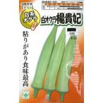 [ белый абельмош ]...( для ..) [ Sanyo выращивание ](50 шарик ) овощи вид [ весна ..] Sanyo вид рассада 