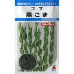 【ごま】黒ごま【タキイ種苗】（12ml）野菜種/黒ゴマの種[春まき]MF