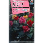 【カンナ】トロピカル サマーミックス【タキイ種苗】（5ml）[春まき]