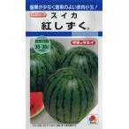 【スイカ】紅しずく 【タキイ交配】（8粒）野菜種/タキイ種苗[春まき]DF