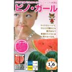 【スイカ】ピノ・ガール 【ナント交配】5粒春まき野菜種