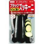 【うどんこ病に強いブラックズッキーニ】ダークヤングマン【サカタ交配】(4ml)野菜種/サカタのタネ[春まき]921105