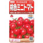 [ персик цвет мини помидоры ( розовый )] Carol rose [sakata. распределение ](13 шарик ) овощи вид [ весна ..] 920106