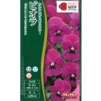 [ viola ] Bb light rose with brochi[takii вид рассада ](0.2ml)[ выдерживающий холод . один год .][ осень ..]