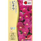 [ viola ] Bb сладкий rose [takii вид рассада ](0.2ml)[ выдерживающий холод . один год .][ осень ..]