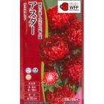 [ астер ]b Lilian красный (0.15ml)[takii вид рассада ]