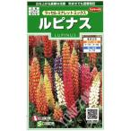 [rupinas] russell mina let Mix [sakata. tane](1ml)[ выдерживающий холод .1~2 год .][ весна ..][ осень ..]906885