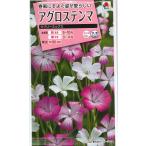 [ смолёвка каролинская ] куколь обыкновенный ( Rav Lee Mix )[takii вид рассада ](1.5ml)[ выдерживающий холод .1 год .][ весна ..[ осень ..]
