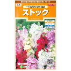 【ストック】一本立切り花用混合【サカタのタネ】（0.1ml）【半耐寒性一年草】[秋まき]907241