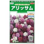 [ бурачок ] wonder Land Mix [sakata. tane](0.05ml)[ выдерживающий холод . один год .][ весна ..][ осень ..]906077