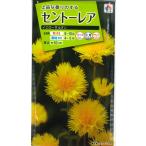 【セントーレア】イエローサルタン【タキイ種苗】（2ml）【耐寒性一年草】[秋…