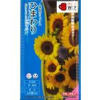 [ солнце. цветок подсолнух ]F1 солнечный Ricci soleil Mu jiam[takii вид рассада ](3ml)[ весна ..][ лето ..]