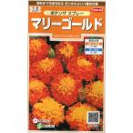 【マリーゴールド】ボナンザスプレー【サカタのタネ】（2ml）【春まき一年草】[春まき]907634