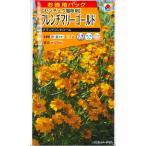 [ French Marie Gold ] Grand контроль [takii вид рассада ](20ml)[ весна .. один год .]FKJA00