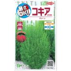 [ метла .]ko Kia [sakata. tane] зеленый (0.2ml)[ весна .. один год .]907180