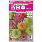 [jinia( 100 день .)] Queen lime Mix [sakata. tane](15 шарик )[ весна .. один год .]905647