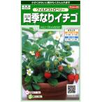 【四季なりイチゴ】ワイルドストロベリー【サカタのタネ】(0.1ml)【多年草】[春まき][秋まき]906082